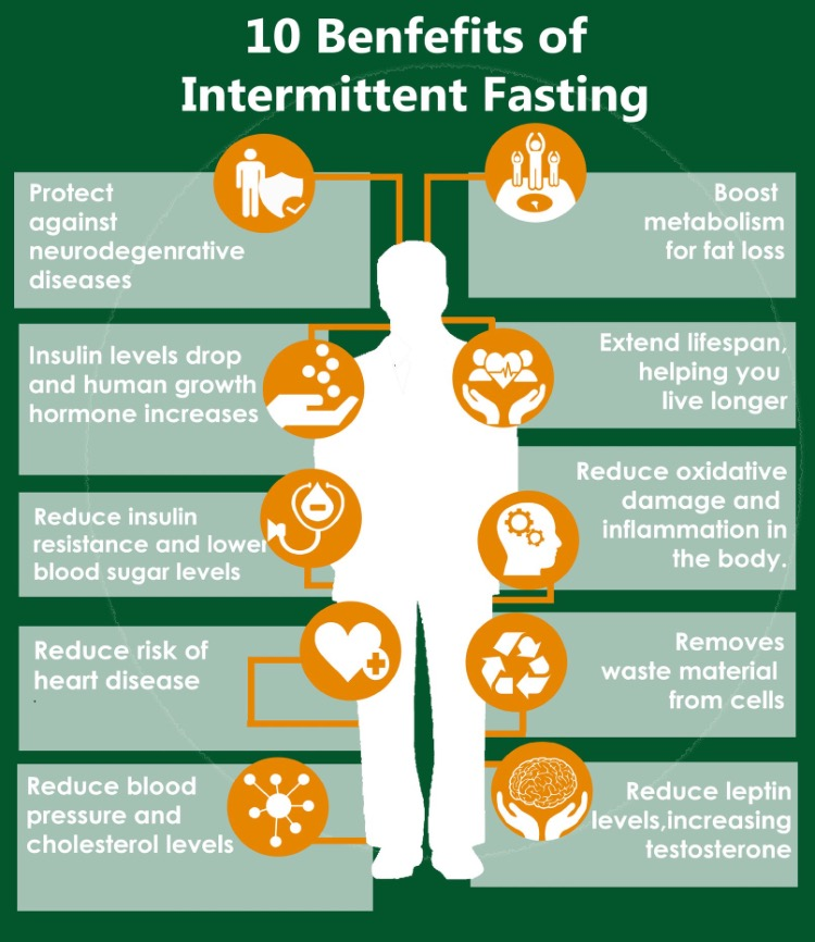 Kesan Intermittent Fasting Kepada Anggota Badan