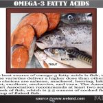 khasiat omega 3